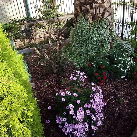 Apartment Casa Jardin De La Plata